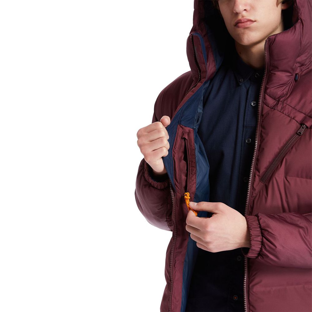 Chaquetas Timberland Hombre Neo Summit Sin Capucha Invierno Burdeos - Chile VCY-247086